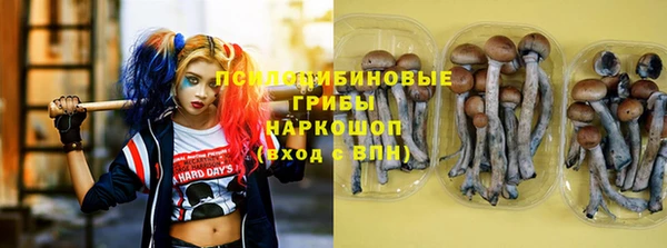 spice Балахна